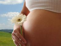 Прерывание беременности 